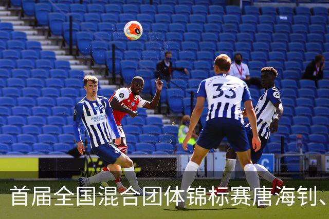 首届全国混合团体锦标赛唐海钊、任怡嘉夺冠